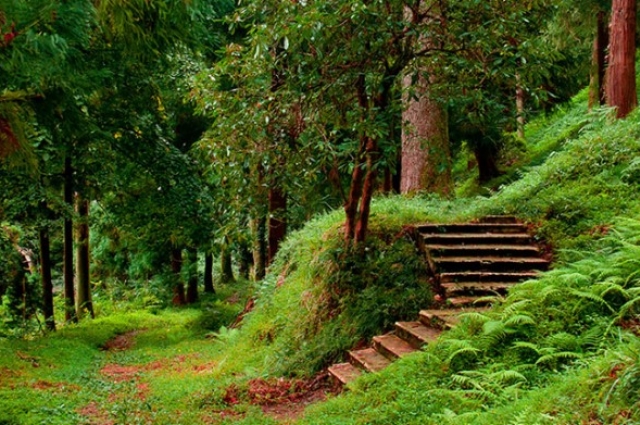 Batum ( 2 gece konaklama )