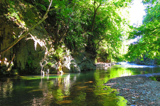 Ülkemizin Akciğeri Kazdağları